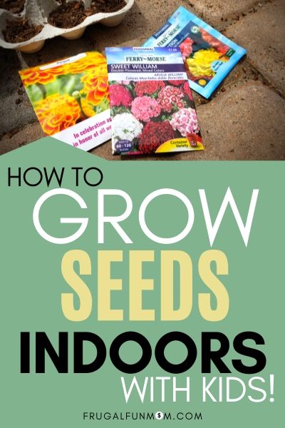 Grow Seeds Indoors With Kids - Save Money On Flowers | Frugal Fun Mom