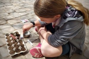 Grow Seeds With Kids | Frugal Fun Mom