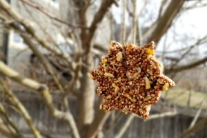 Hanging Bird Feeder | Frugal Fun Mom