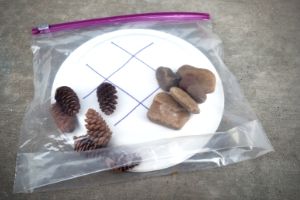 Pinecone Game | Frugal Fun Mom